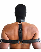 Leather Neck and Arm Restraints