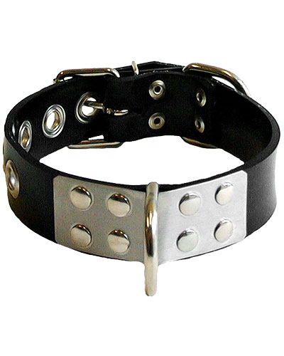(Bild für) Sklavenhalsband aus dickem Gummi mit Edelstahl und D-Ringen