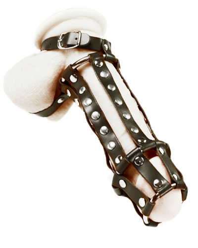 (Bild für) Penisbondage aus Leder mit Innendornen