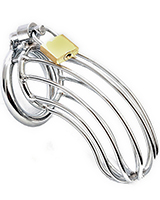 BIRD CAGE Stainless Steel Chastity Cage